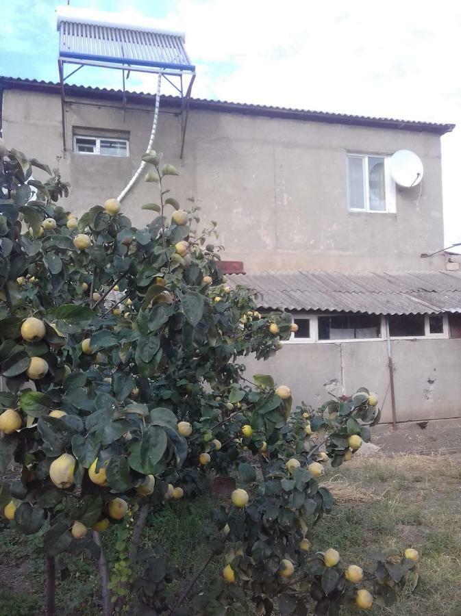 Udabno Naili Hotel Kültér fotó